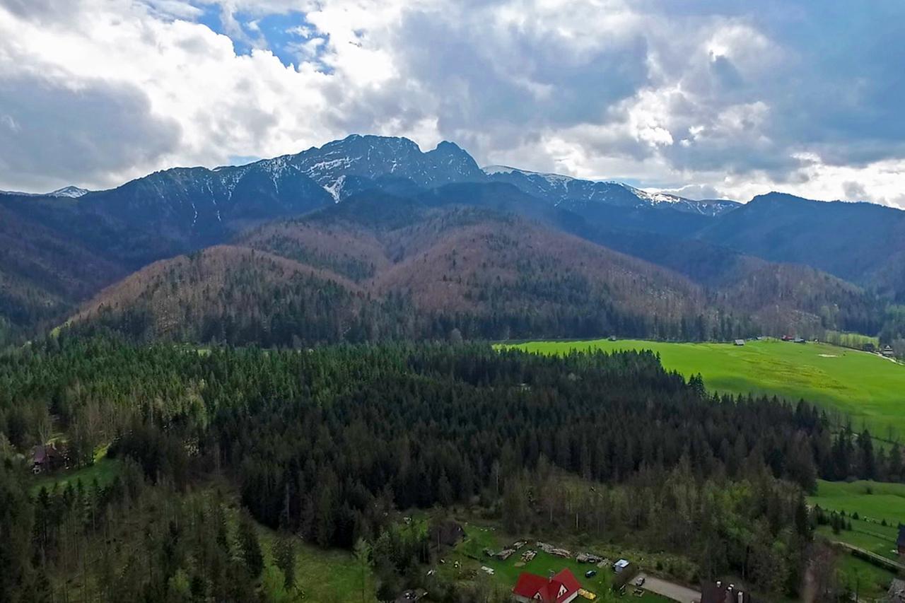 Hotel Nalecz City Center Zakopane Exteriér fotografie